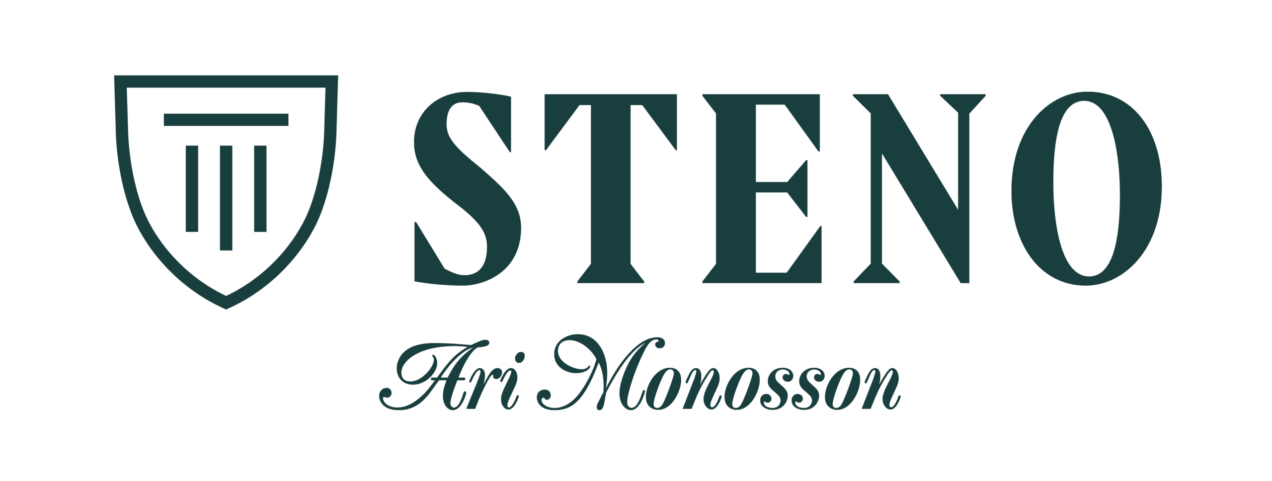 Steno Logo With Name Cursive Ari Monosson